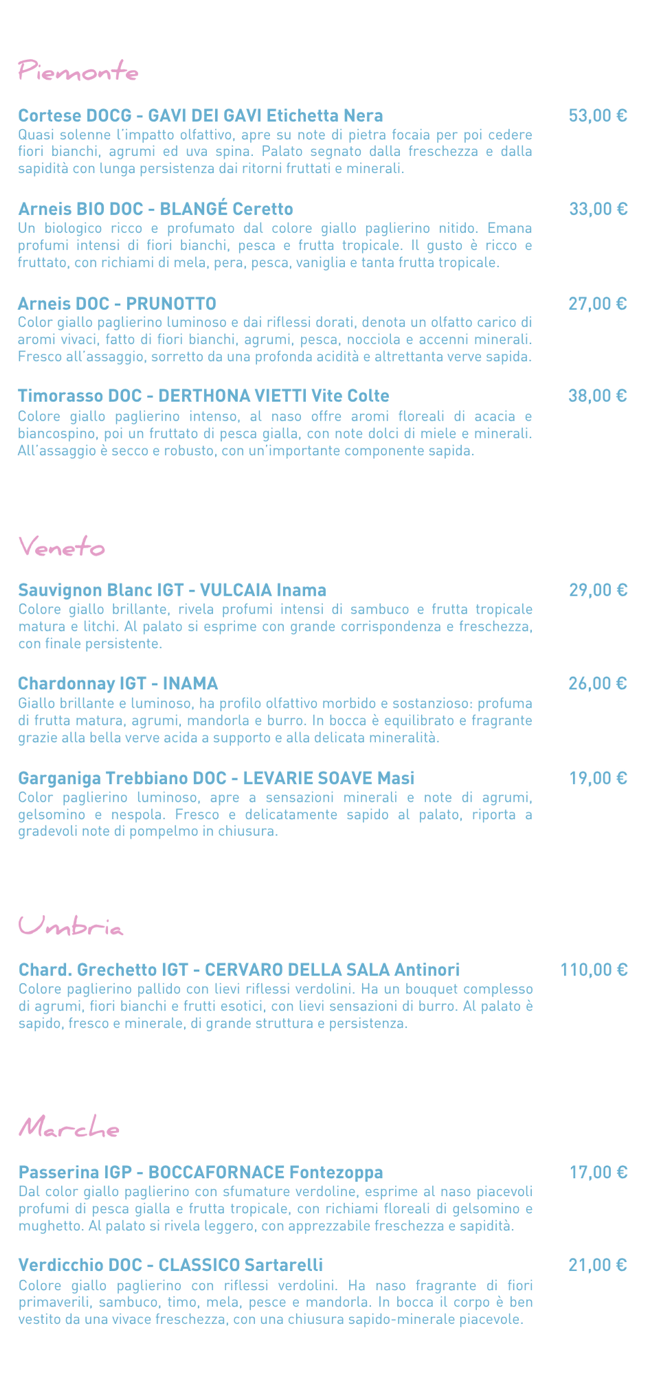 carta dei vini 5